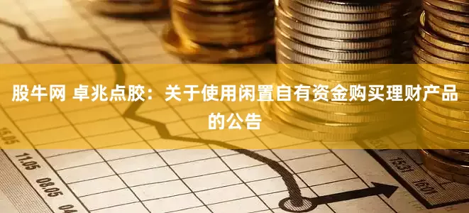 股牛网 卓兆点胶：关于使用闲置自有资金购买理财产品的公告