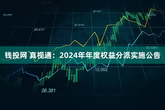 钱投网 真视通：2024年年度权益分派实施公告
