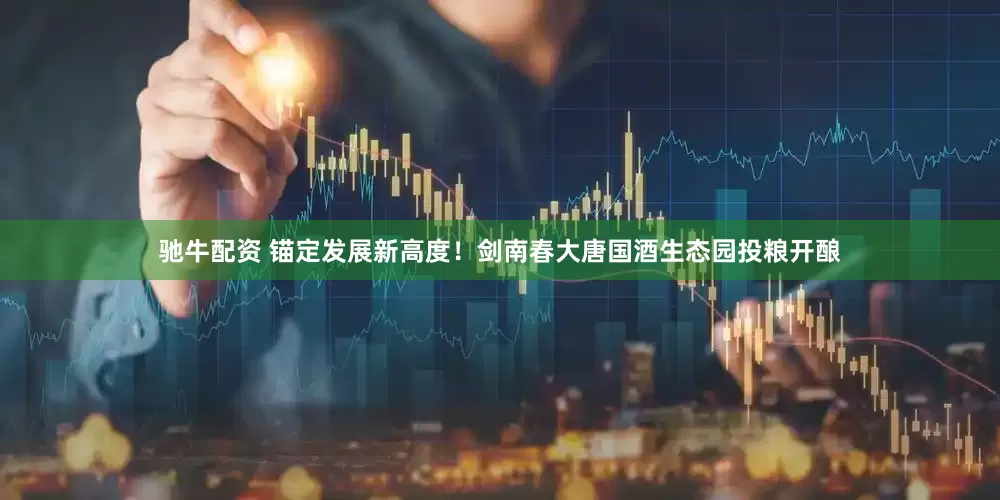 驰牛配资 锚定发展新高度！剑南春大唐国酒生态园投粮开酿