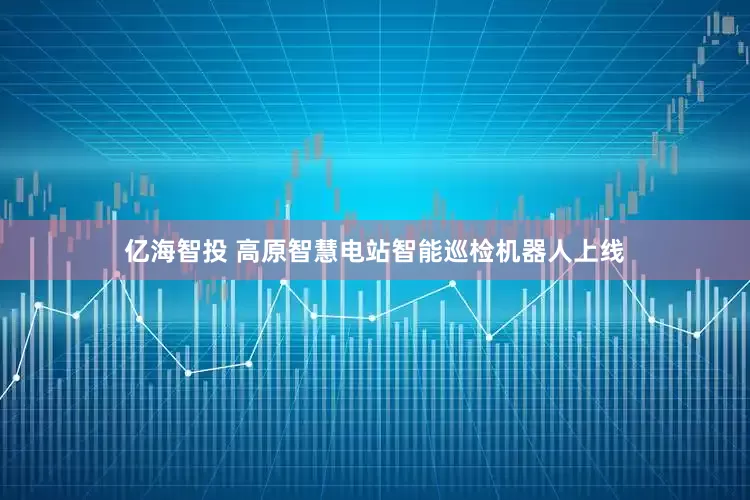 亿海智投 高原智慧电站智能巡检机器人上线