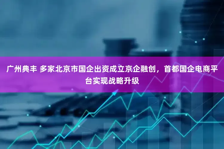 广州典丰 多家北京市国企出资成立京企融创，首都国企电商平台实现战略升级
