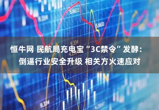 恒牛网 民航局充电宝“3C禁令”发酵： 倒逼行业安全升级 相关方火速应对
