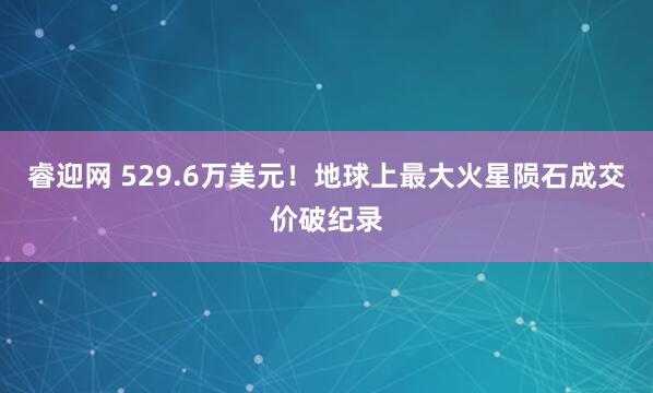 睿迎网 529.6万美元！地球上最大火星陨石成交价破纪录