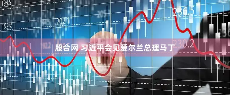 股合网 习近平会见爱尔兰总理马丁