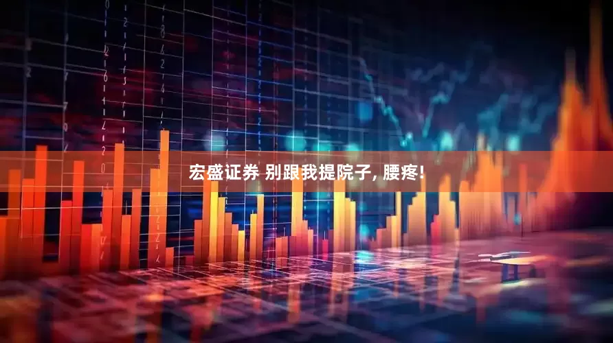 宏盛证券 别跟我提院子, 腰疼!